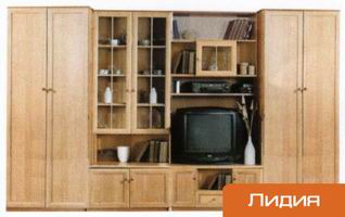 корпусная мебель для гостиной